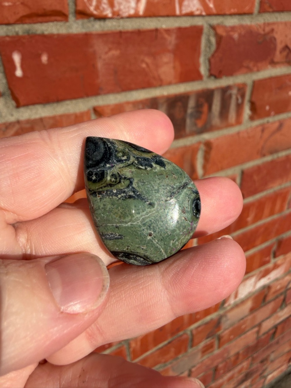 Kambaba Jasper cabochon #4